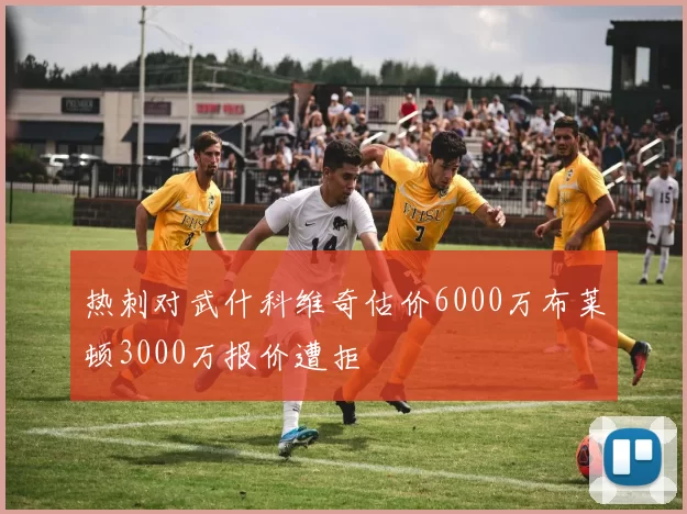 热刺对武什科维奇估价6000万布莱顿3000万报价遭拒