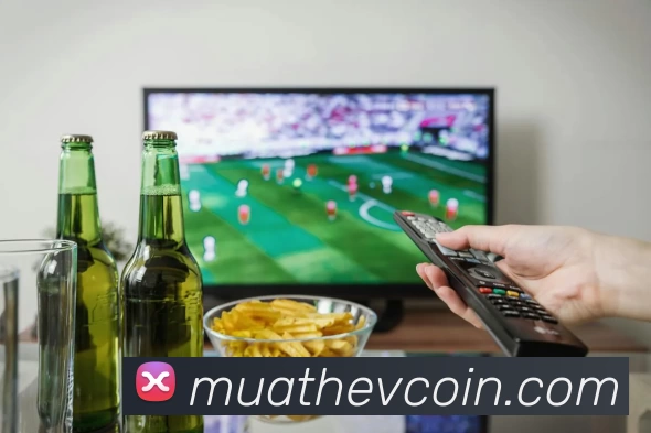 世界杯官方入口全站App